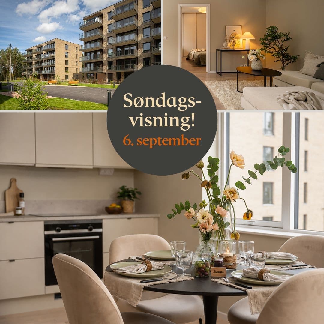 Et bilde som er lagt til i innlegget.